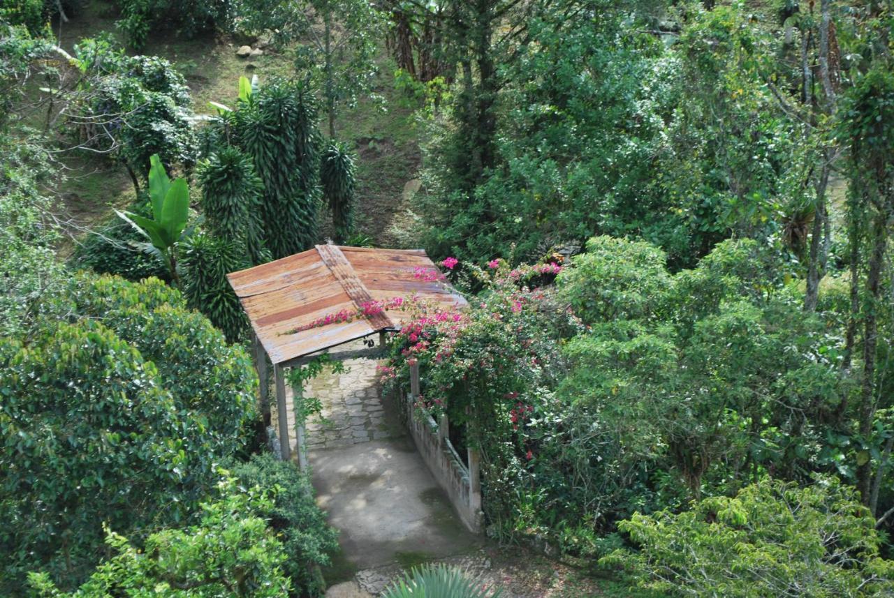Lodge Jardín Del Agua