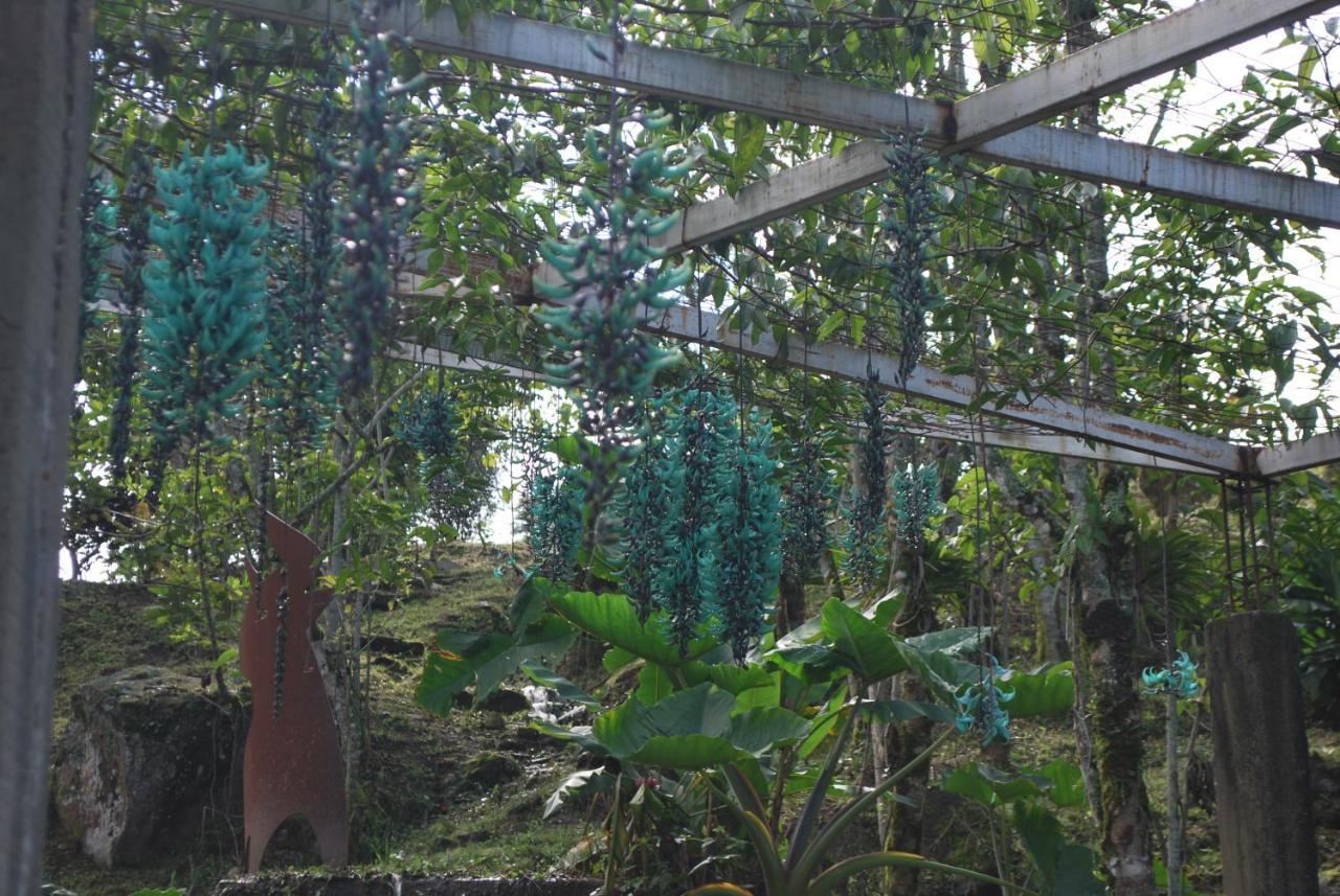 Lodge Jardín Del Agua Sasaima